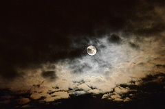 fullmoon 031